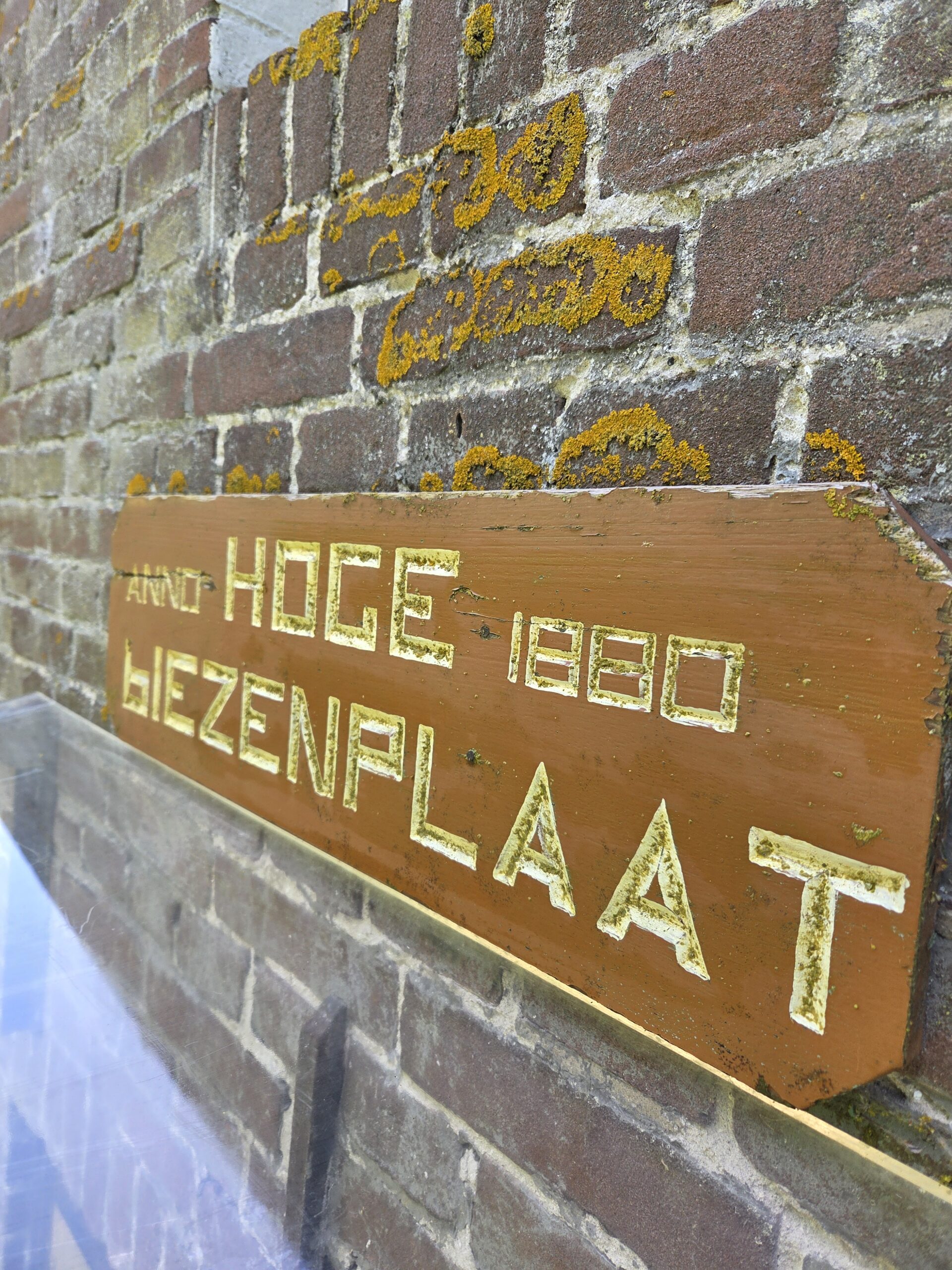 Bruine houten bord met gele tekst "Hoge Biezenplaat 1880" op een met mos begroeide bakstenen muur.