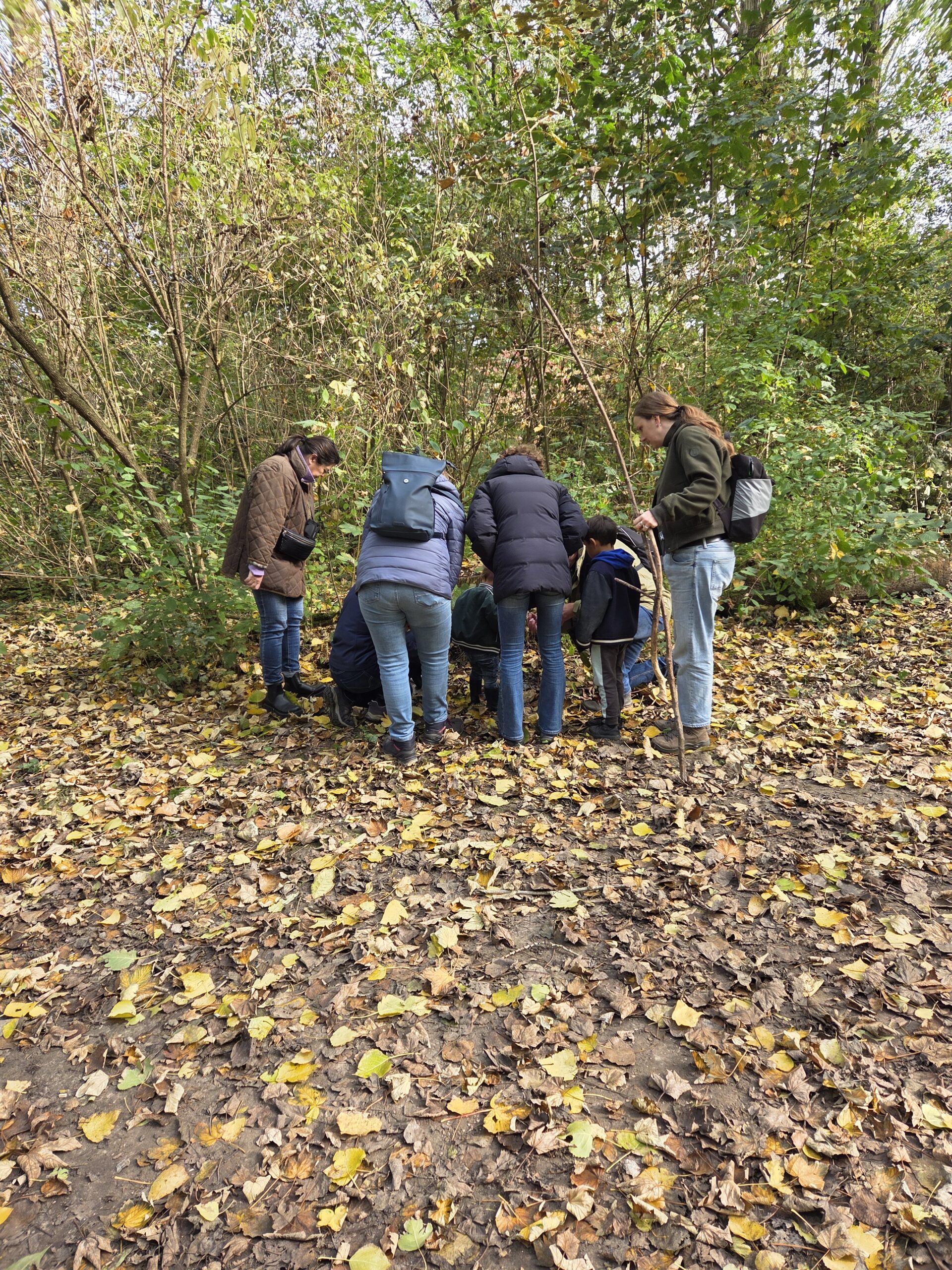Een groep mensen gebukt in een bos met herfstbladeren op de grond, omringd door bomen.