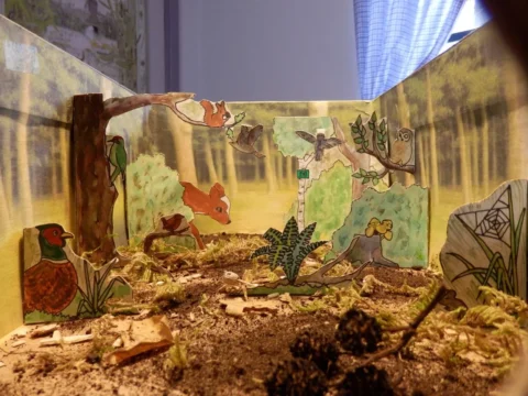 Kartonnen bosdiorama met getekende dieren zoals een eekhoorn, vos, en uil op een bed van mos en aarde.