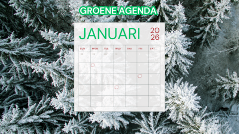 Kalender januari 2026 met gemarkeerde dagen, achtergrond van besneeuwde bomen. Text: Groene Agenda.