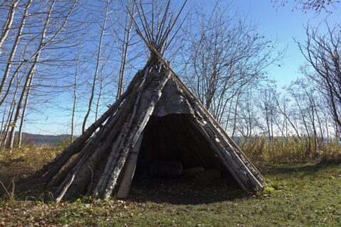 Houten tipi in bosrijke omgeving, omringd door kale bomen onder een heldere blauwe hemel.