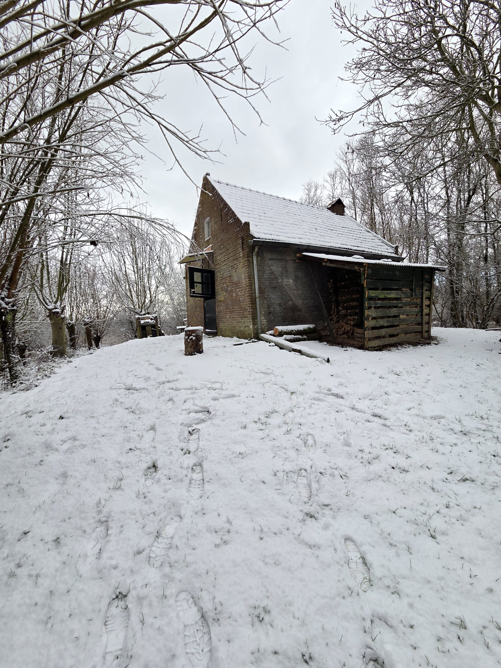 Bakstenen huis in besneeuwd bos, voetstappen leiden naar deur. Koude, rustige winterdag.