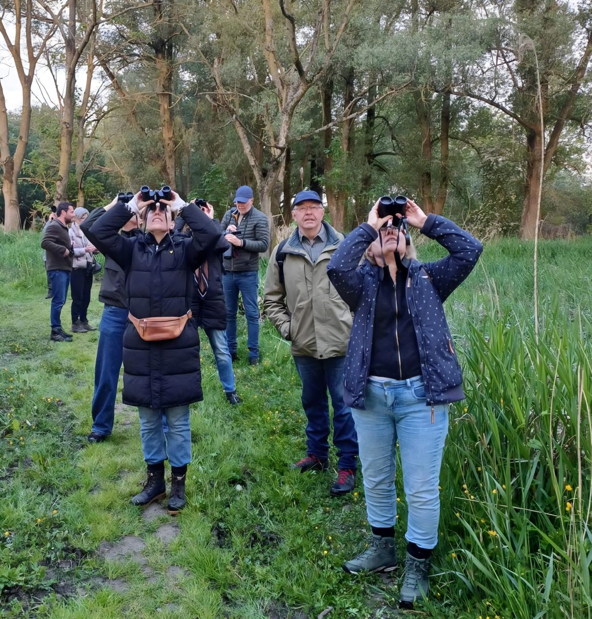 Mensen observeren vogels met verrekijkers in een bosrijke omgeving.