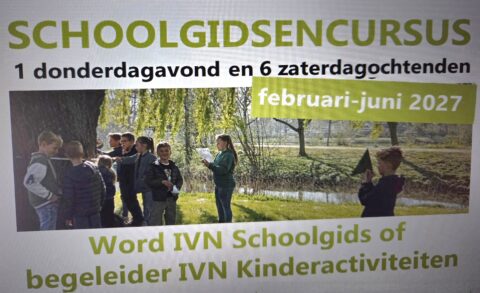Poster voor schoolgidsencursus met kinderen in een buitenomgeving. Workshops in 2027.