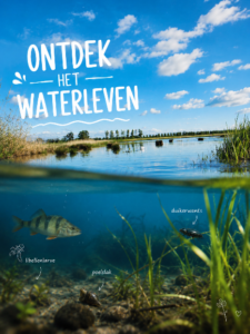 Bovenaanzicht van meer met blauwe lucht, onder water zijn vis en kleine waterdieren zichtbaar.
