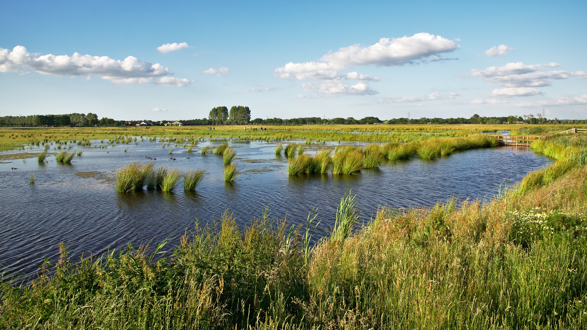 WANDELEXCURSIE voorafgaand aan de ALV op 9 juni 2022