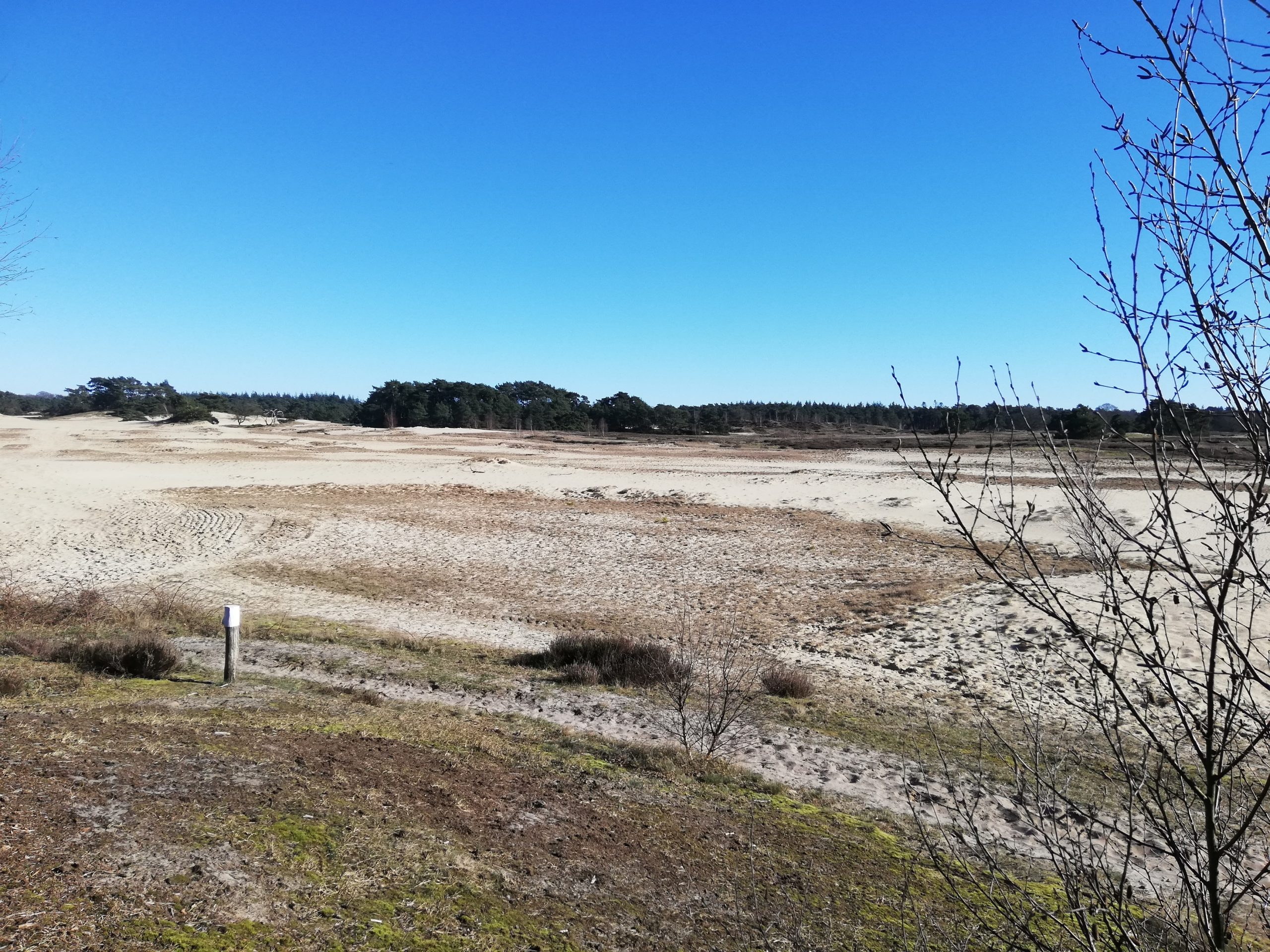 Zandlandschap met struiken en bomen aan de horizon onder een heldere blauwe lucht.