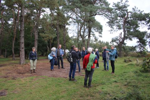 Mensen in een bos luisteren naar een man die een uitleg geeft, omringd door hoge bomen.
