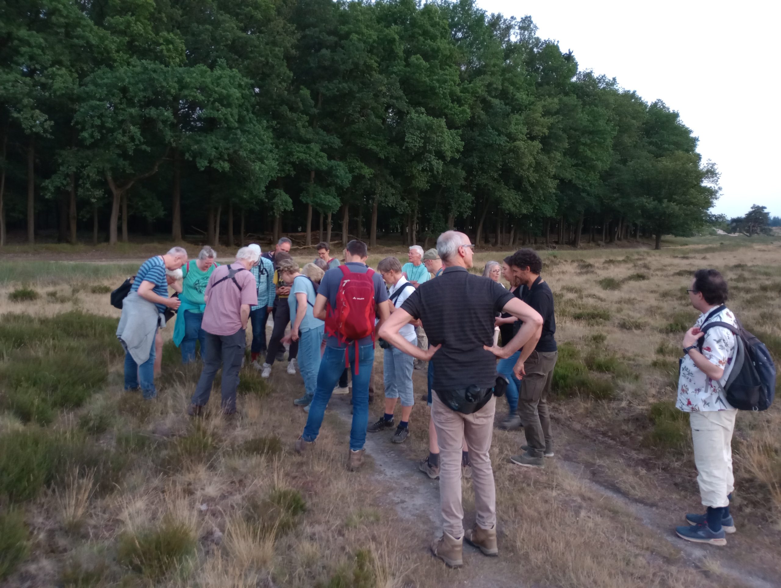 Groep mensen inspecteert iets in grasveld naast bosrand bij schemering.