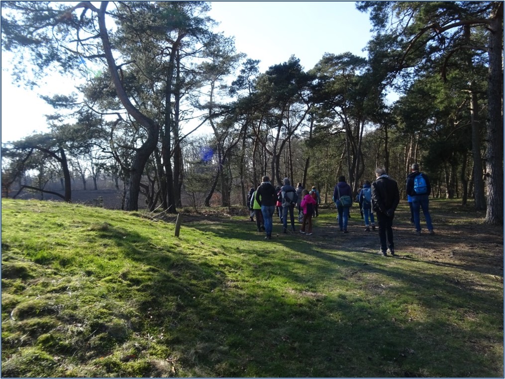 Groep wandelaars in een bosrijke omgeving met hoge bomen en gras.