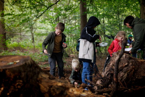 Kinderen onderzoeken een boomstronk in een bos, begeleid door een volwassene, tegen een groene achtergrond.