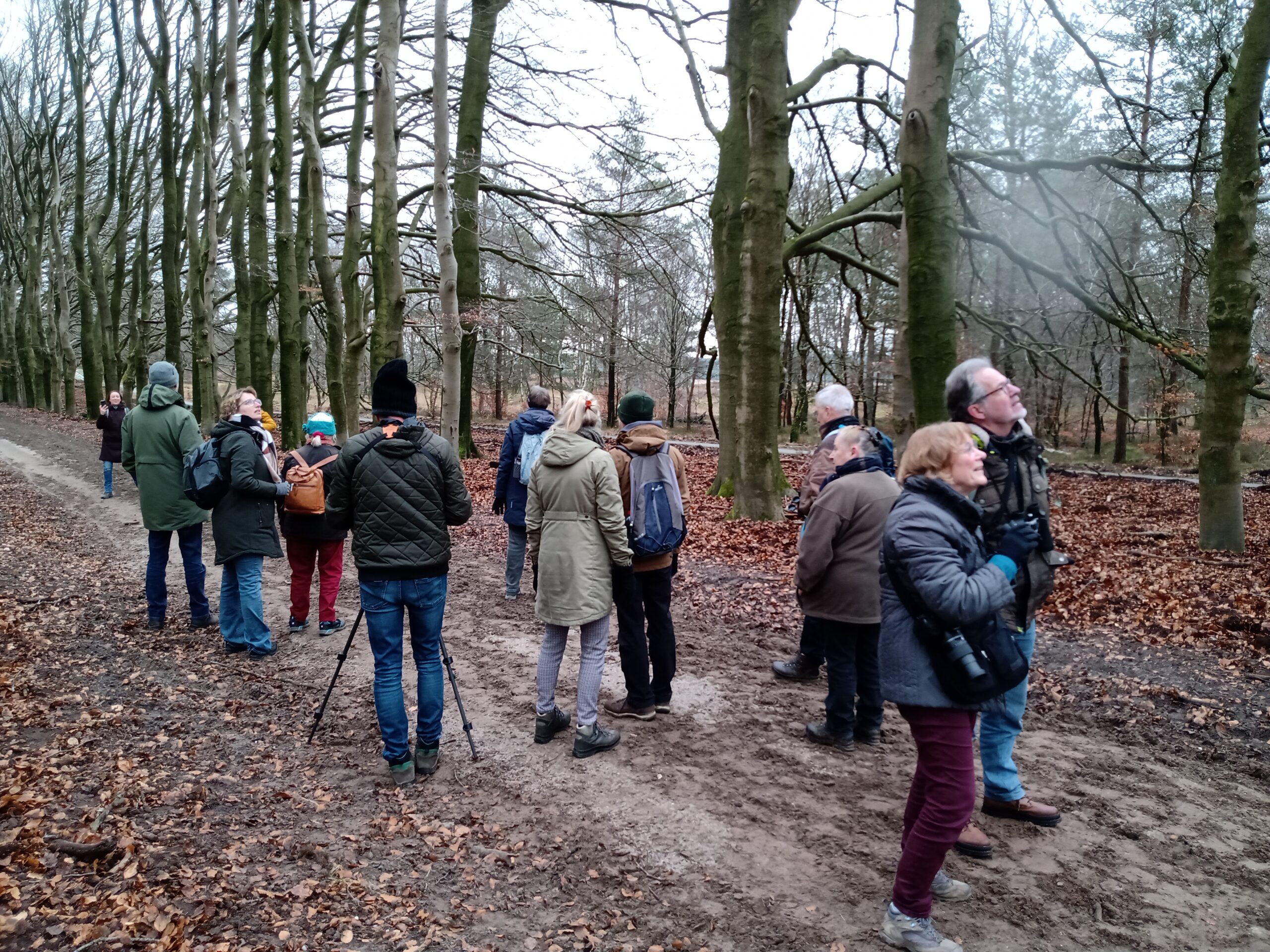 Groep mensen in winterkleding kijkt omhoog in een bosrijk gebied.