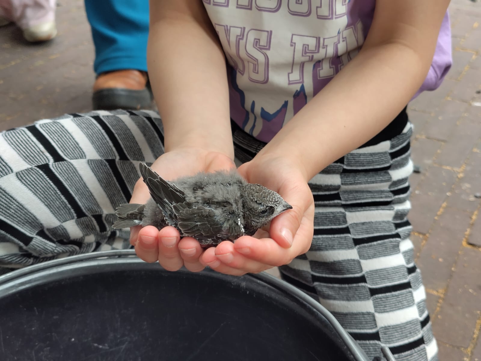 Kind houdt klein vogeltje in handen, zittend op stoep met emmer op de voorgrond.