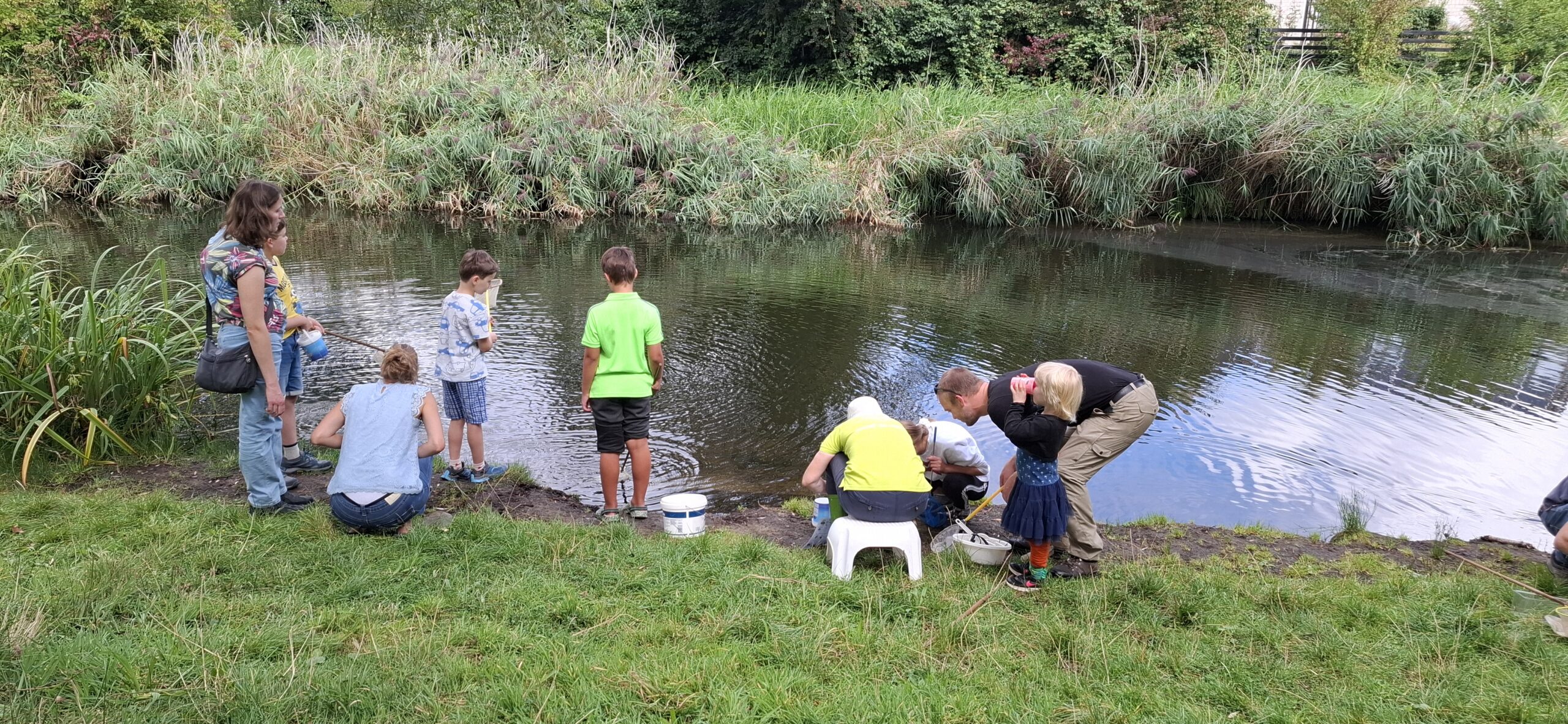 Groep mensen, waaronder kinderen, onderzoekt een vijver bij een oever met gras en riet.