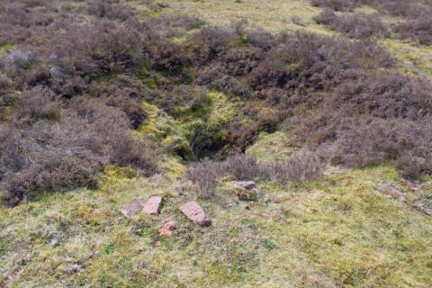 Grasland met stenen en een kleine, met struiken omgeven, verzakking in de grond.