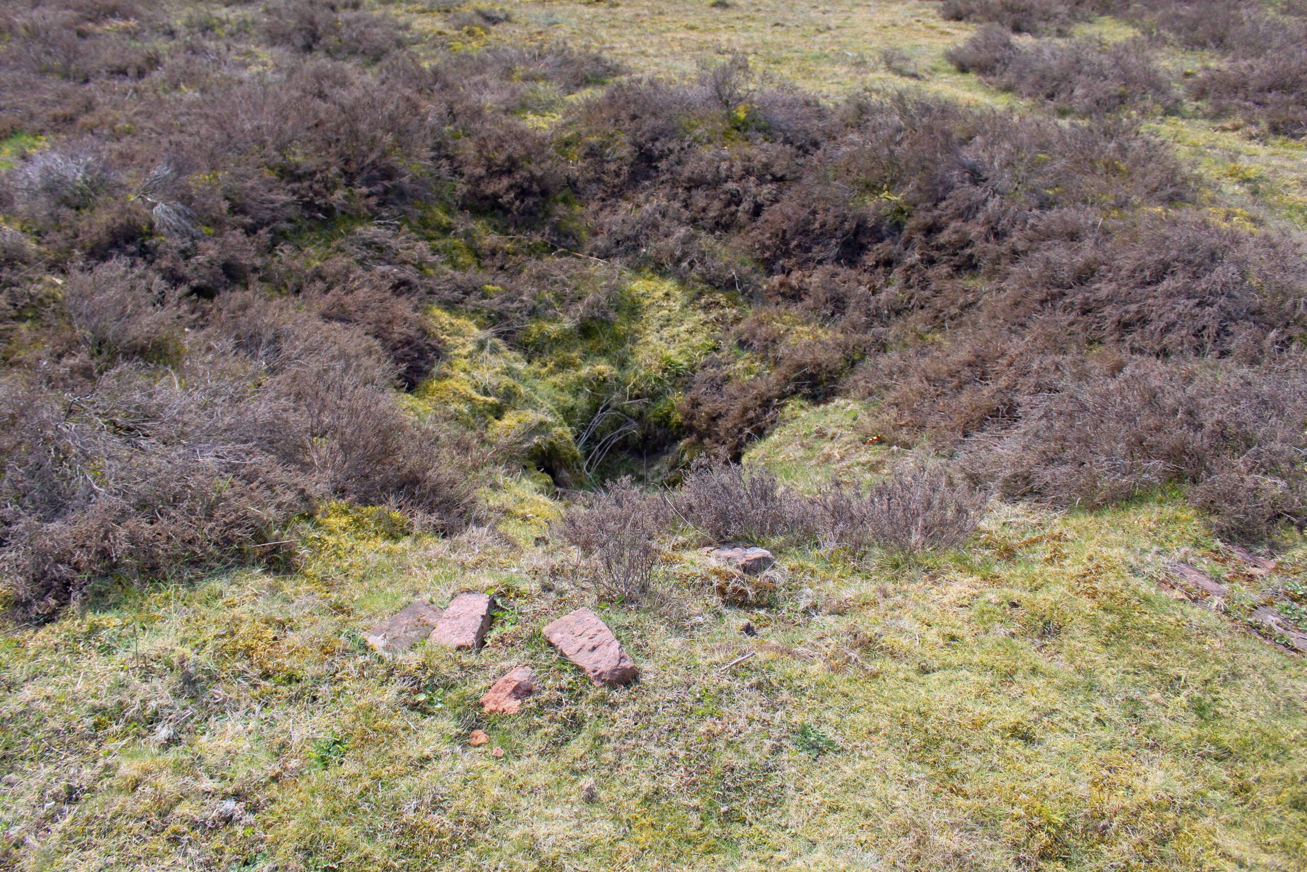 Grasland met stenen en een kleine, met struiken omgeven, verzakking in de grond.