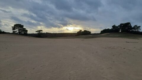 Zandvlakte met bomen en bewolkte lucht bij zonsondergang.