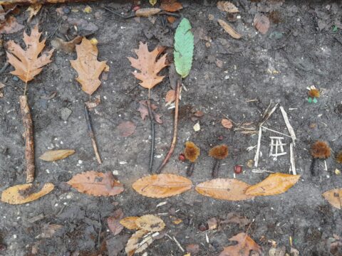 Drie bladeren als bomen en een huisje van takjes op een bosgrond, omgeven door herfstbladeren.