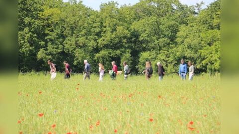 Mensen lopen in een rij door een bloemenveld met bomen op de achtergrond.