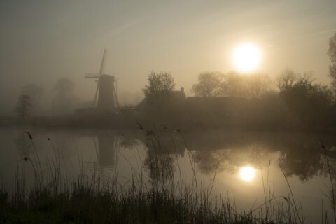 Mistige zonsopgang met windmolen en bomen weerspiegeld in een stille vijver.