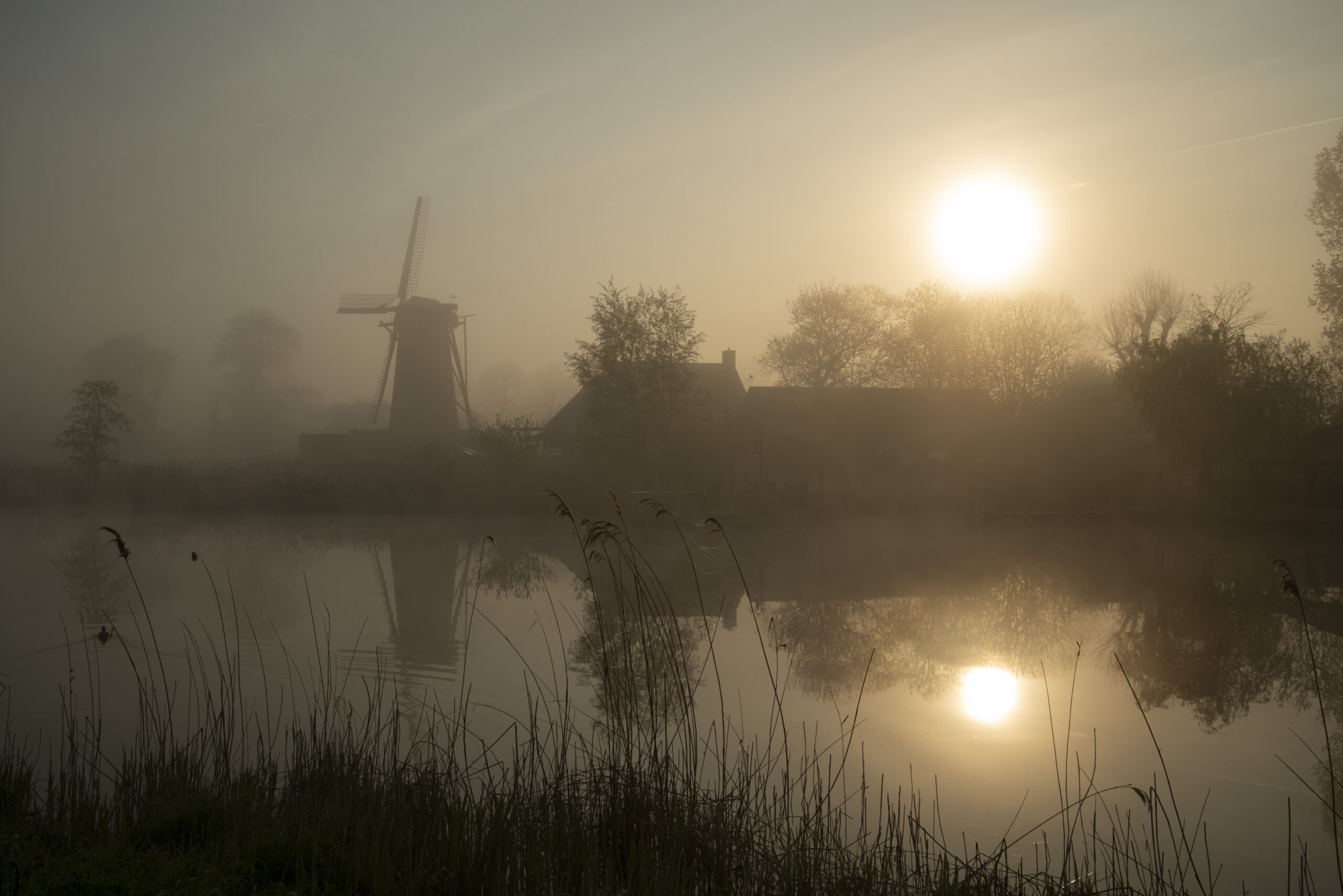 Mistige zonsopgang met windmolen en bomen weerspiegeld in een stille vijver.