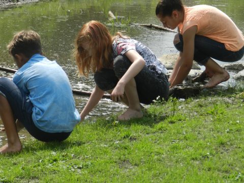 Jongeren 12+