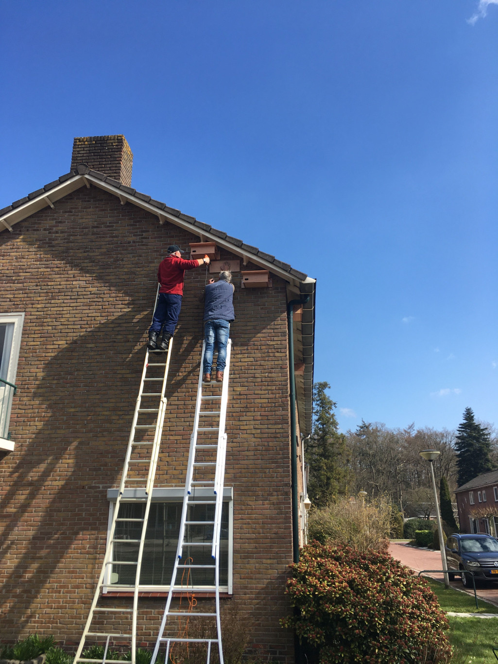 Nieuw onderdak voor gierzwaluwen