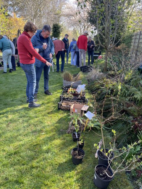 Mensen bekijken planten op een ruilbeurs, met planten in potten en kratten op het gras.