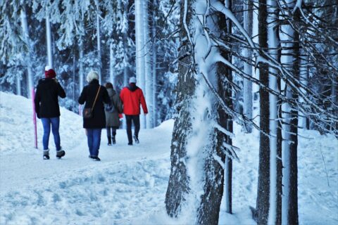 Mensen wandelen op een besneeuwd bospad, omgeven door met sneeuw bedekte bomen.