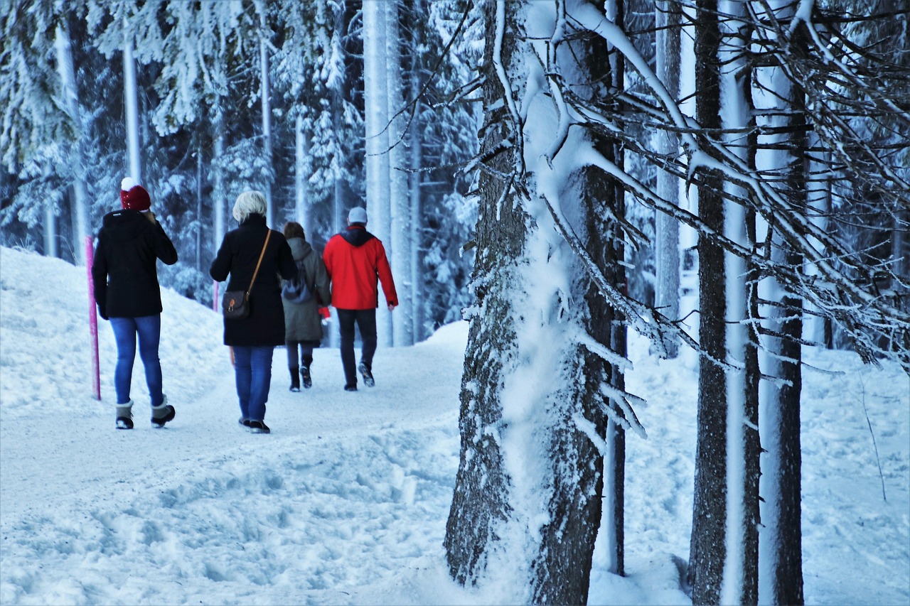 Mensen wandelen op een besneeuwd bospad, omgeven door met sneeuw bedekte bomen.