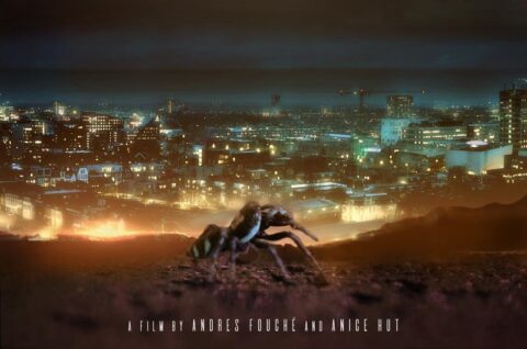 Een grote spin op een heuvel kijkt uit over een nachtelijke stad in lichten.