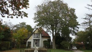 Een huis met rode dakpannen, omringd door bomen, met een beeld en een geparkeerde auto op de oprit.