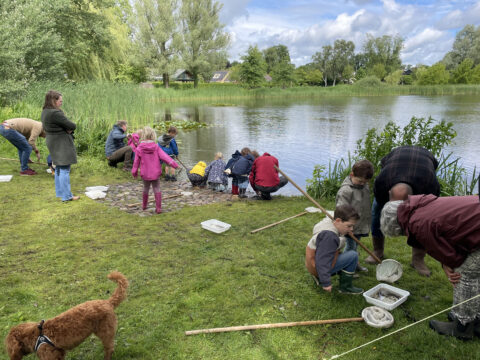 Kinderen en volwassenen onderzoeken waterleven bij een vijver met schepnetten en bakken.