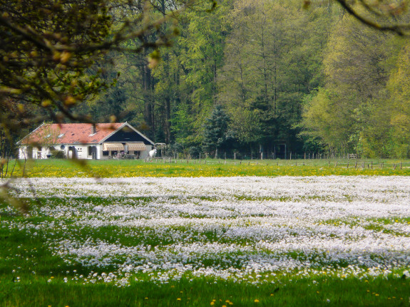 staalwijkselaan