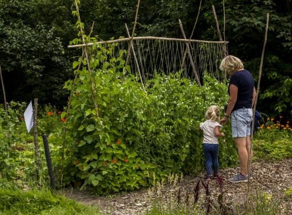 bezoekers in moestuin