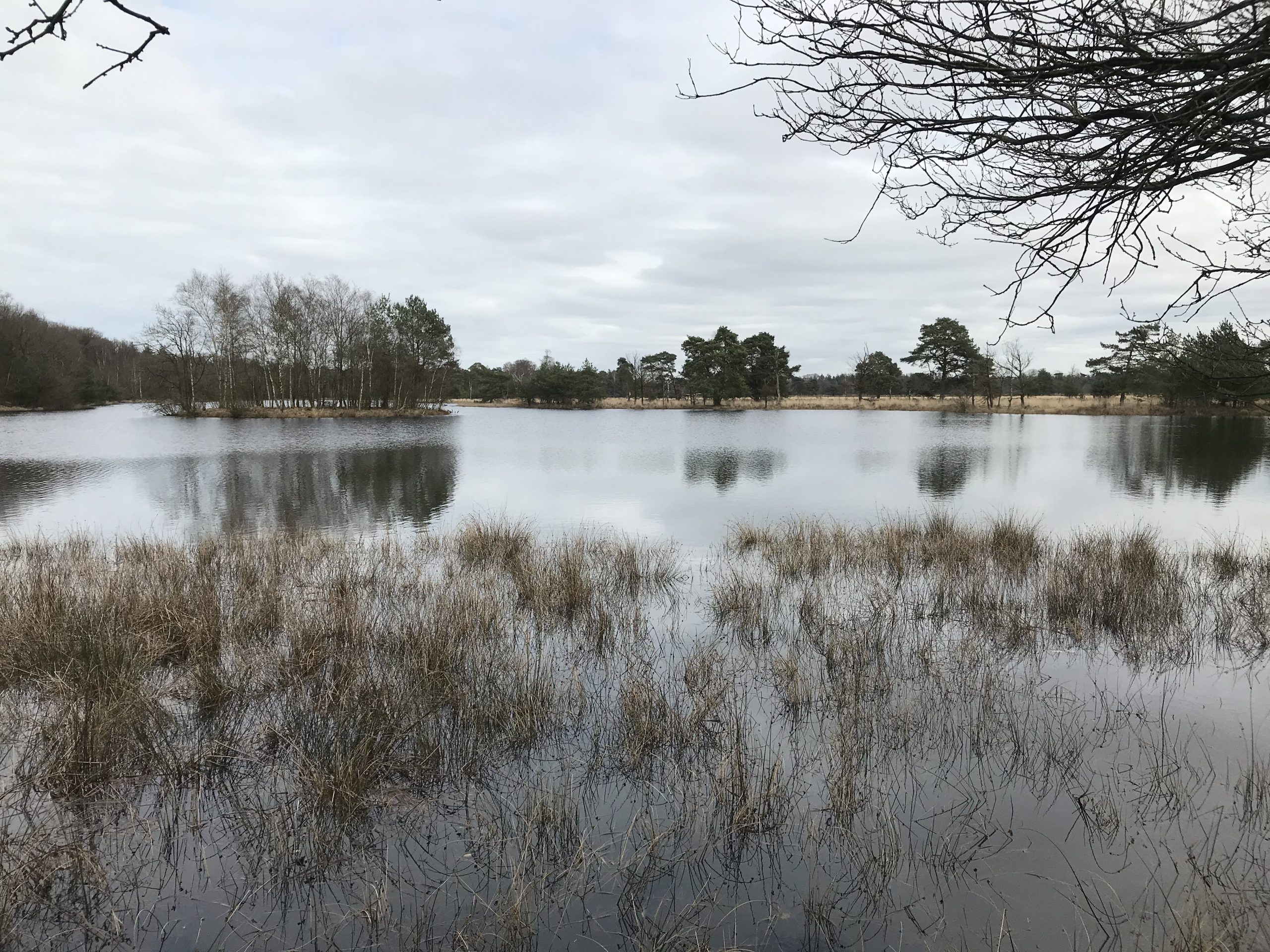 Leersumse Veld