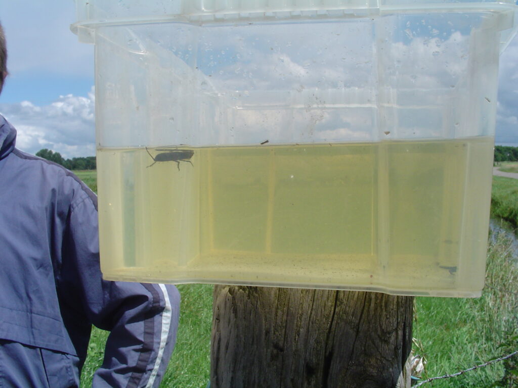 Plastic bak met water en insect op een paal, man in jas, groene weide en blauwe lucht.