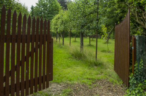 Open houten poort leidt naar een groene boomgaard met gras en jonge bomen.