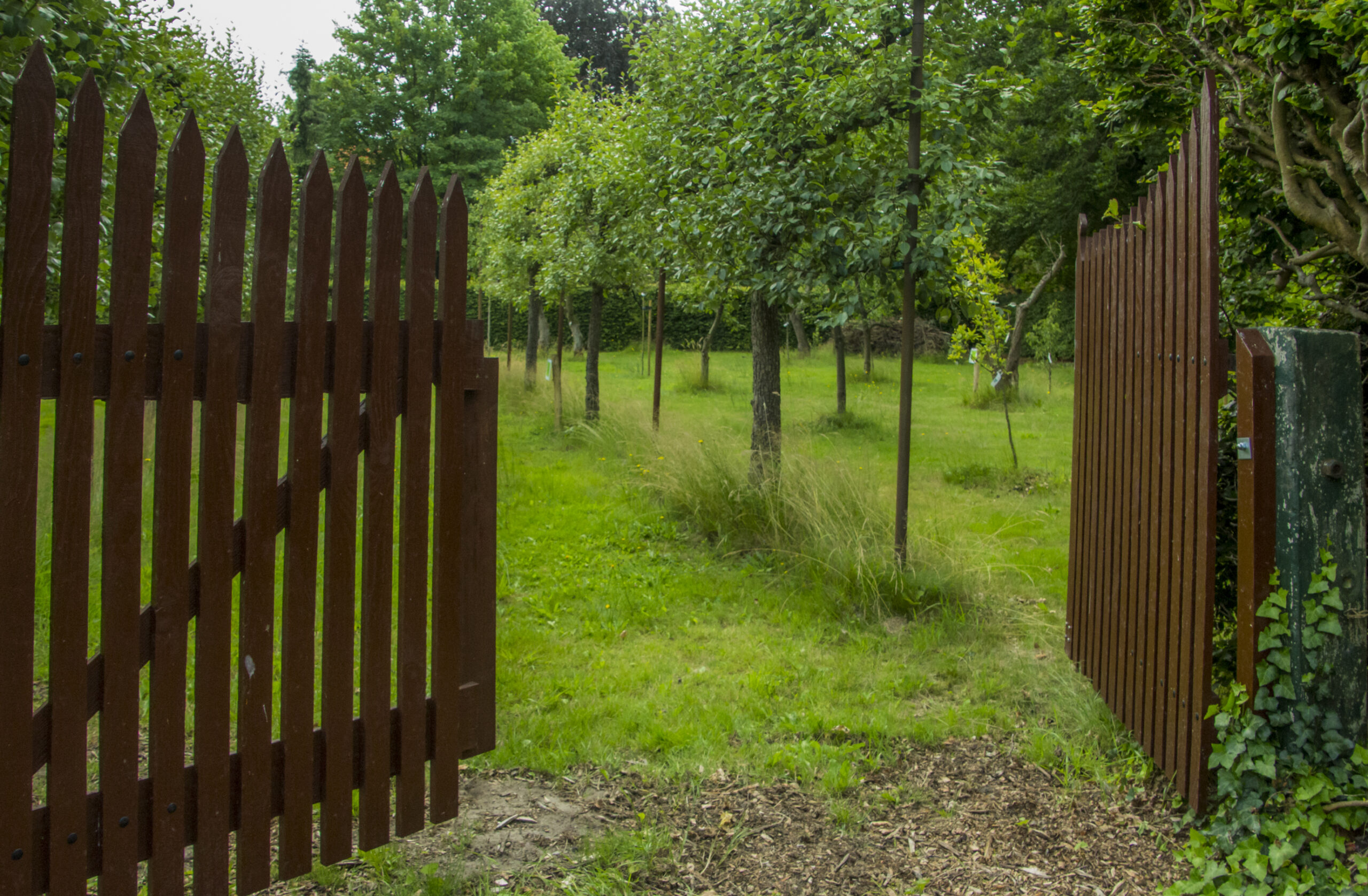 Open houten poort leidt naar een groene boomgaard met gras en jonge bomen.
