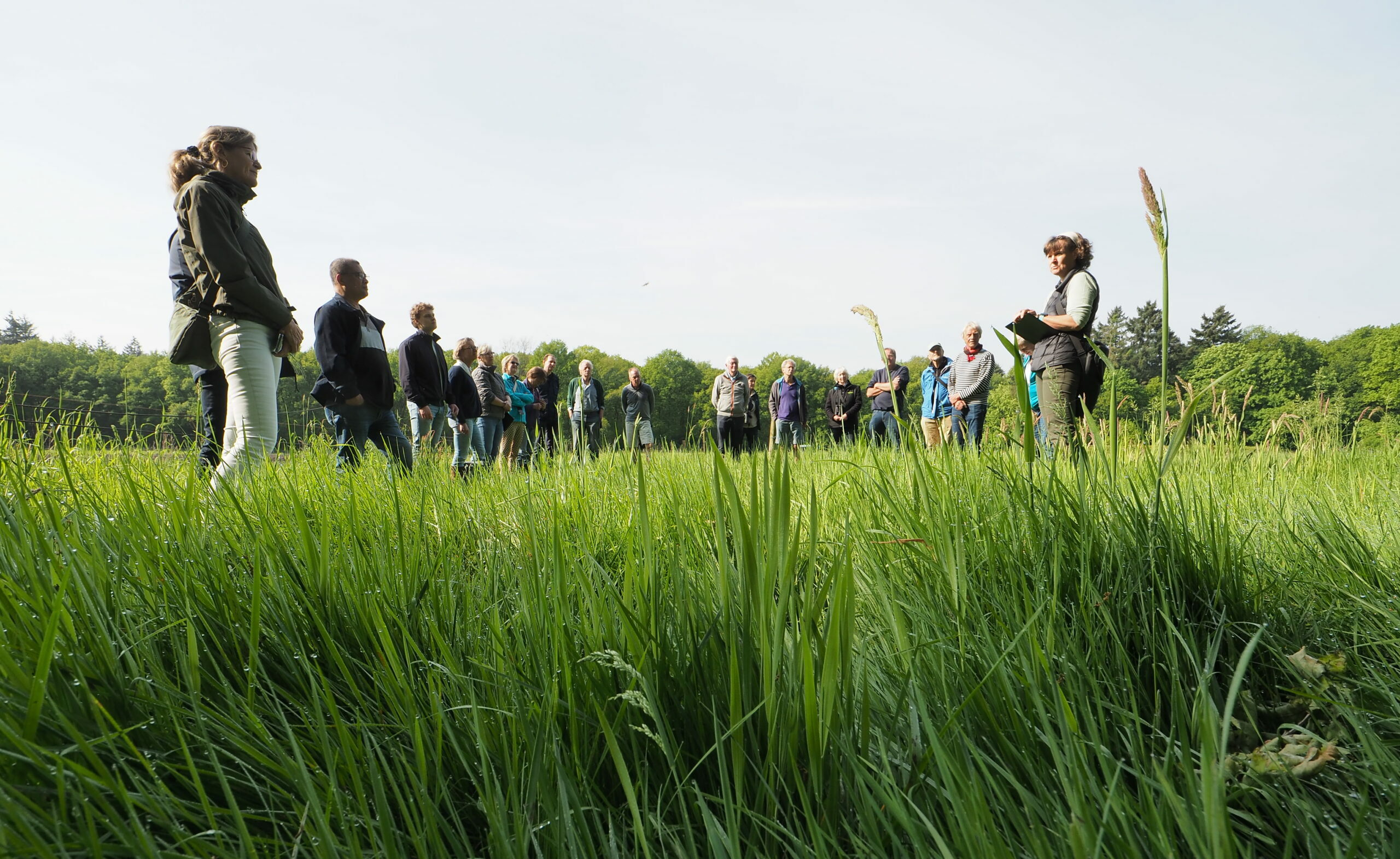 Mensen staan in een kring in een groene weide, luisterend naar een instructeur.