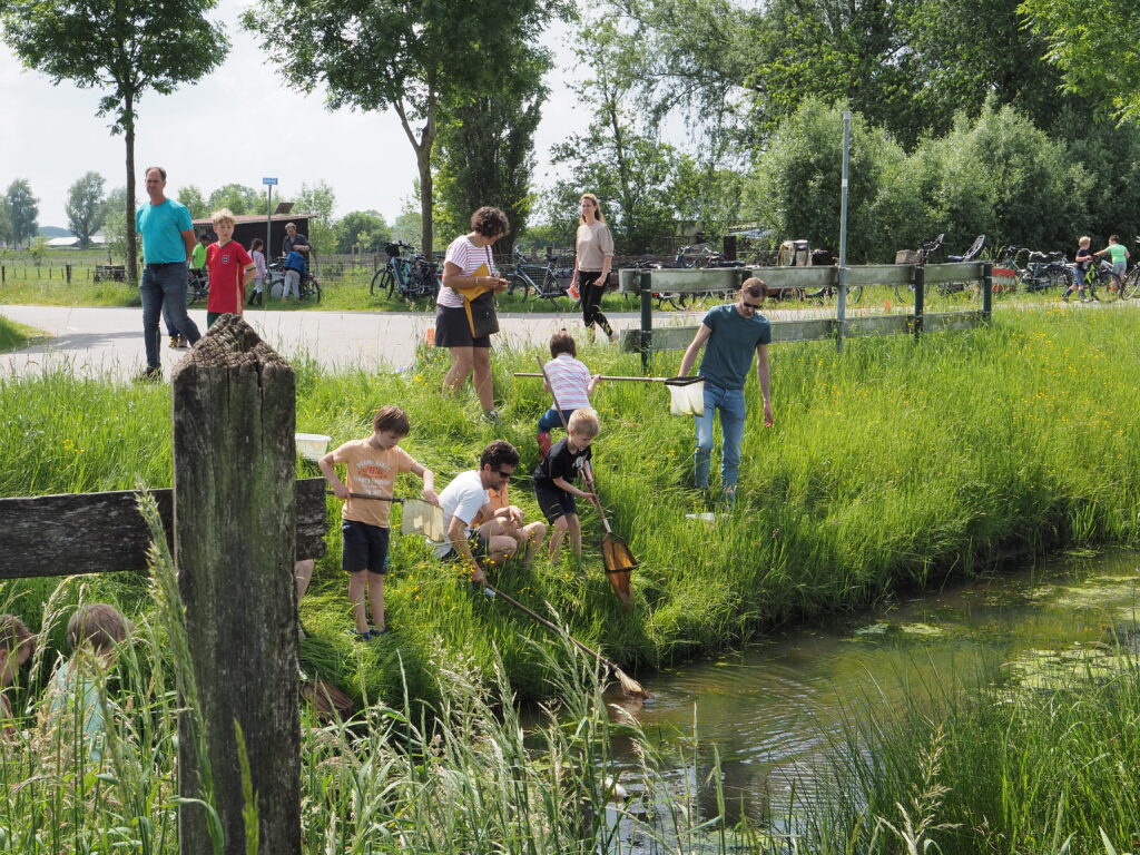 Kinderen en volwassenen vangen waterdiertjes met netten bij een sloot in een groene omgeving.