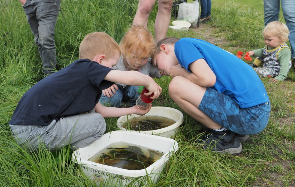 Kinderen onderzoeken waterbakken in het gras tijdens een buitenactiviteit.