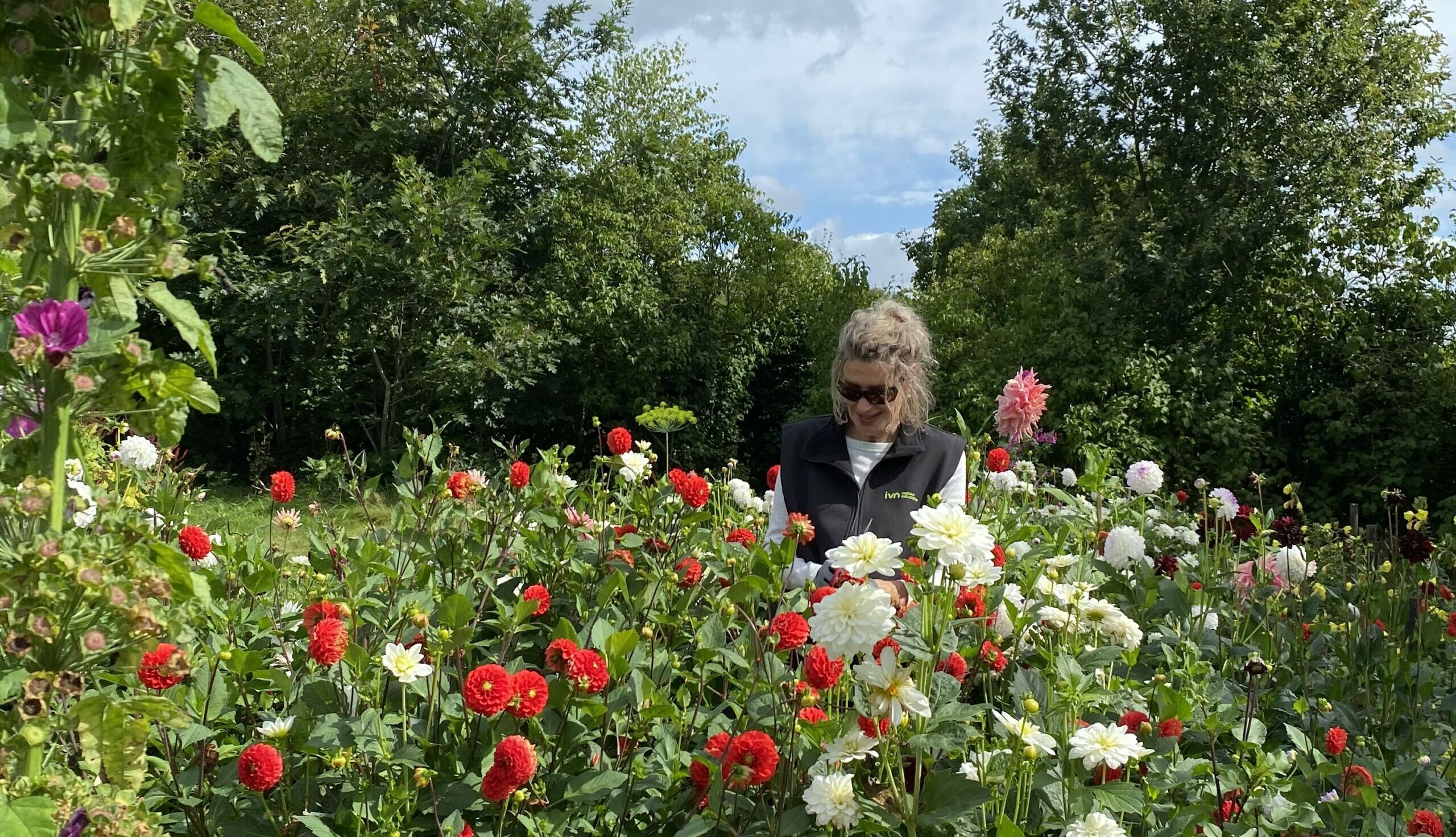 Vrouw met zonnebril in een bloementuin met rode en witte dahlia's en groene bomen op de achtergrond.