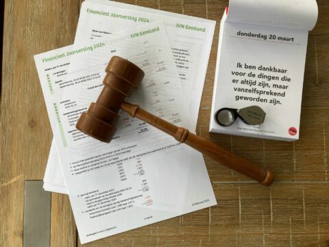 Stapel papieren jaarverslagen, houten hamer, citaat kalenderpagina met loep.