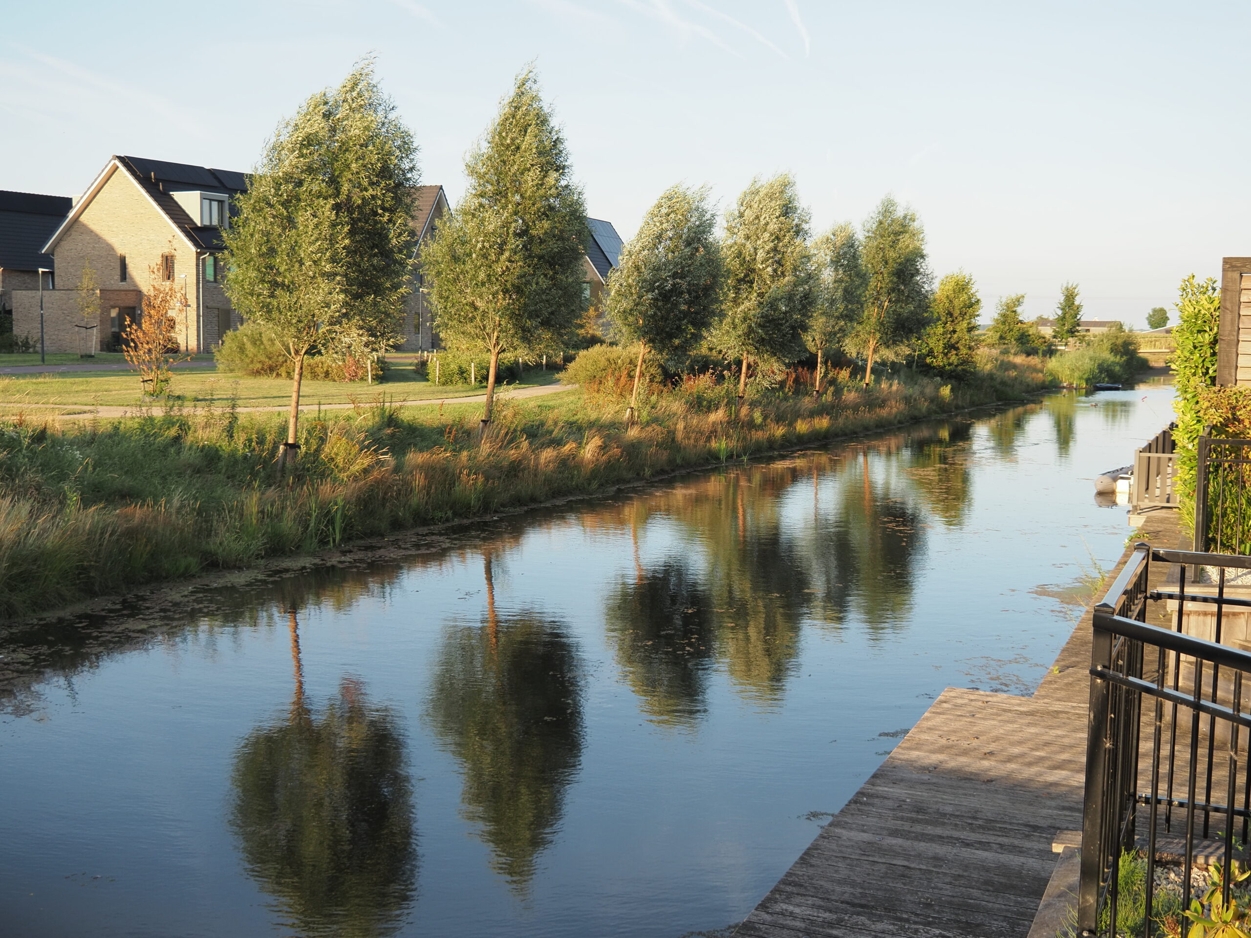 Kanaal met bomenrij en moderne huizen in ochtendlicht.