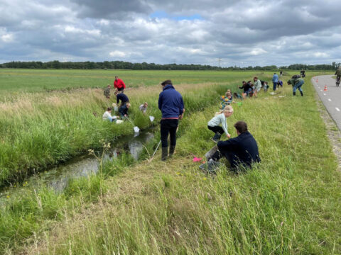 Een groep mensen vangt waterdieren langs een sloot in een grasveld bij een weg.