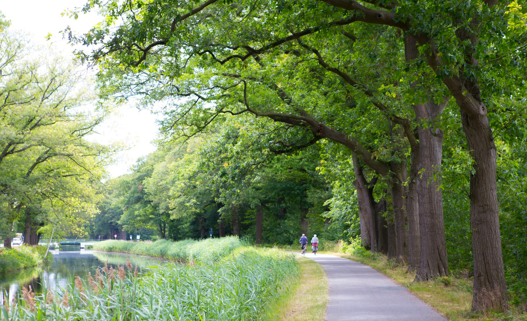 Fietsers op een pad langs een kanaal omringd door groene bomen en riet.