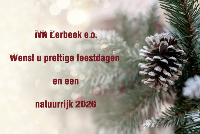 Tekst met kerstwens en dennenappel op wazige achtergrond.