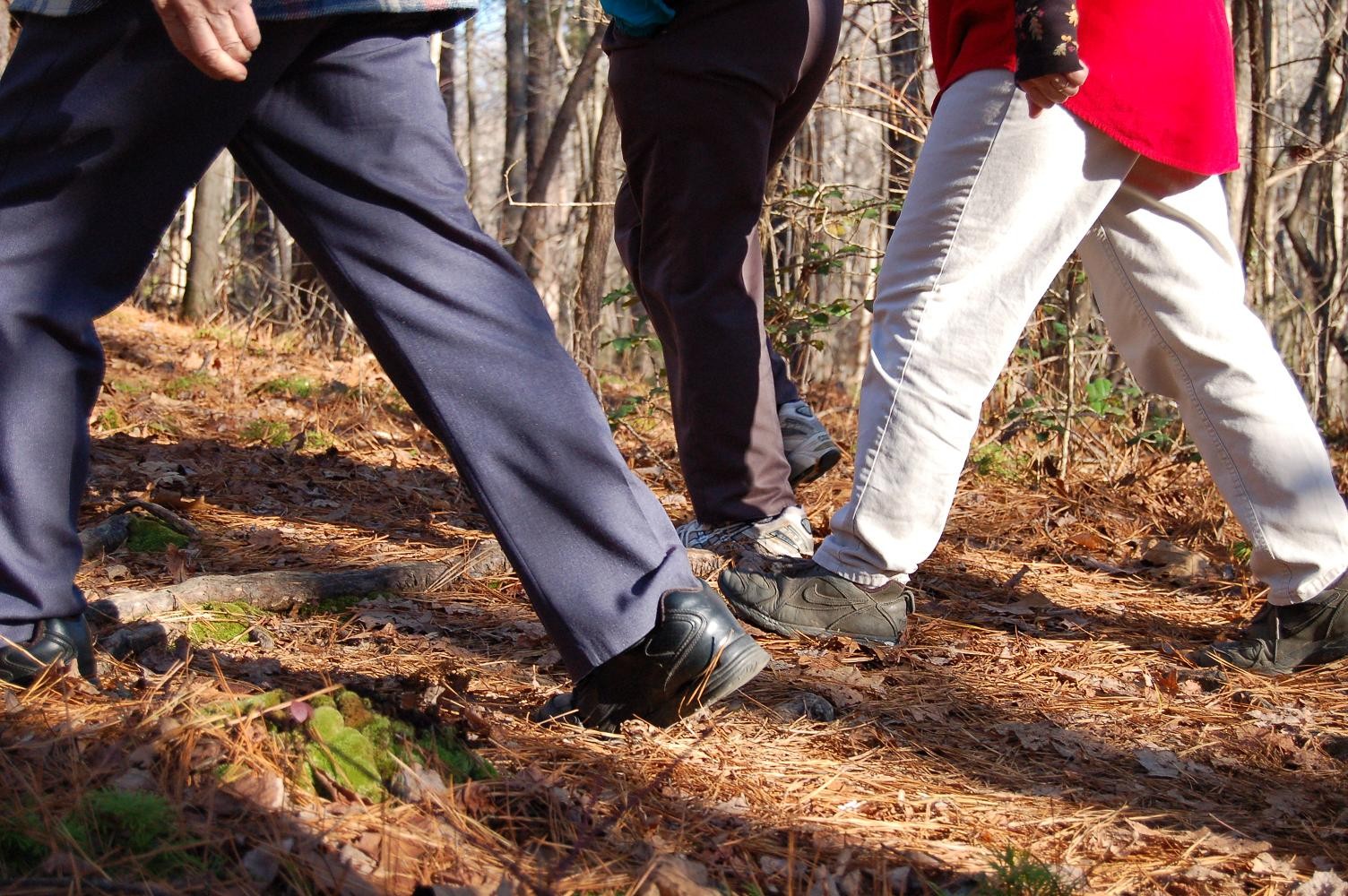 Kerst-wandeling 26 dec