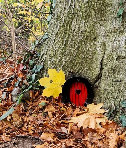 Rode deur met hartje in boomstam, omringd door herfstbladeren.